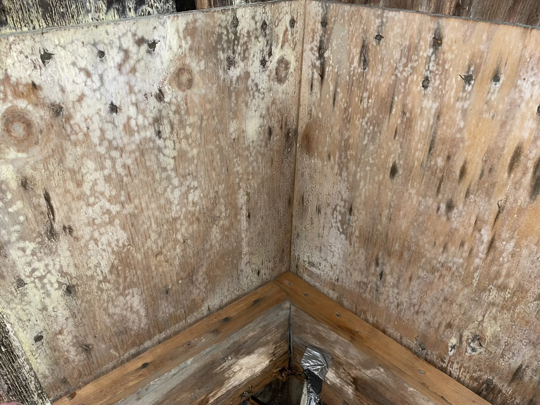 Mold Remediation jobsite photo in New Hampshire